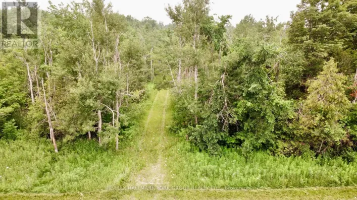 PT LOT 80 GREY ROAD, Grey Highlands