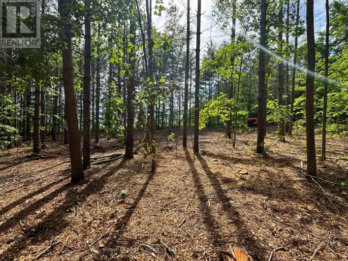 PT LT 11 CON 7 RANCHERS ROAD, Kawartha Lakes