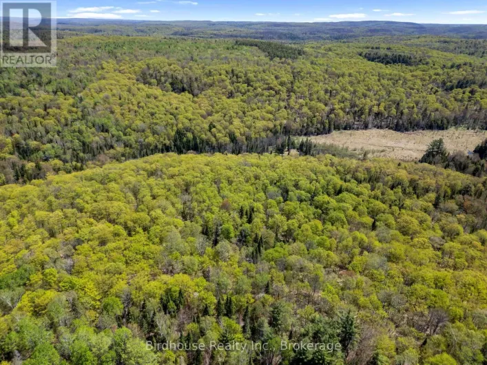 PT LT 26 CON 17 CARDIFF HWY #648 (LOOP) ROAD, Highlands East