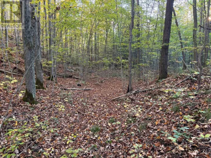 PT LT 29-30 NAPHAN ROAD, Tyendinaga