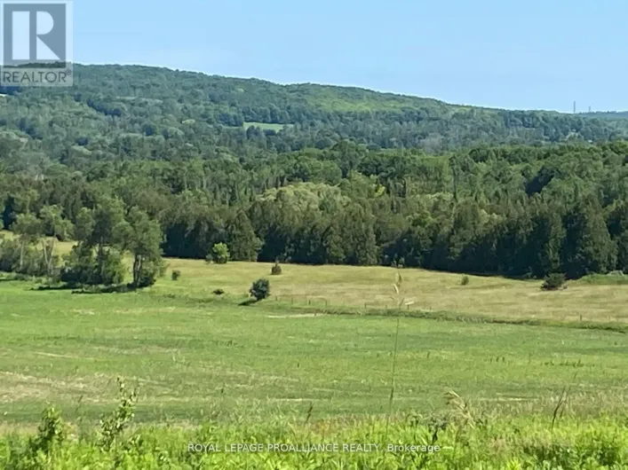 PT LT 3 COUNTY RD 45, Hamilton Township