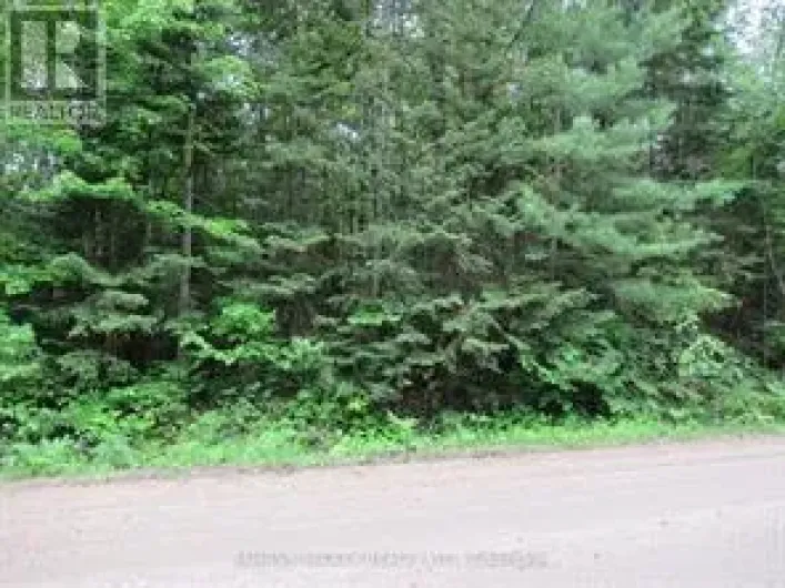 PT LT 49 OLD MOORE LAKE ROAD, Laurentian Hills