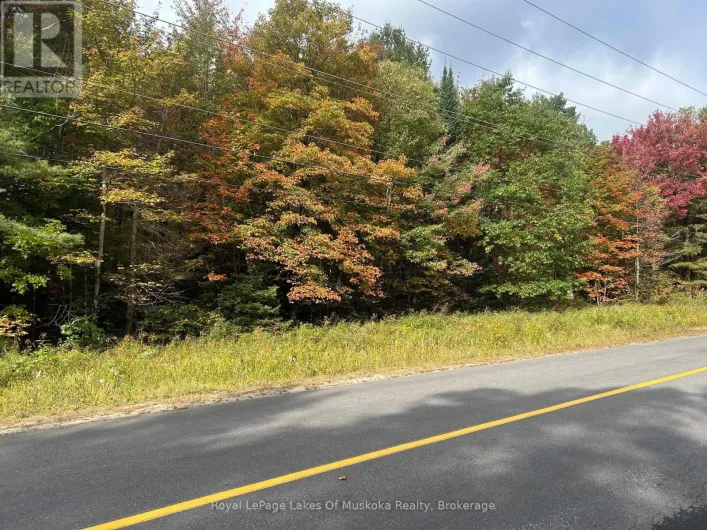 PT2 35R 132264 BONNIE LAKE ROAD, Bracebridge