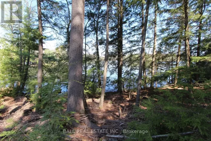 PT2&3 FIRE ROUTE 223, Trent Lakes