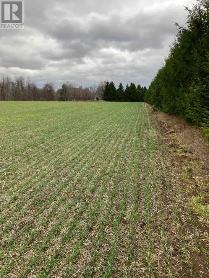 PTLOT26 PRINCE WILLIAM STREET, Lucan Biddulph