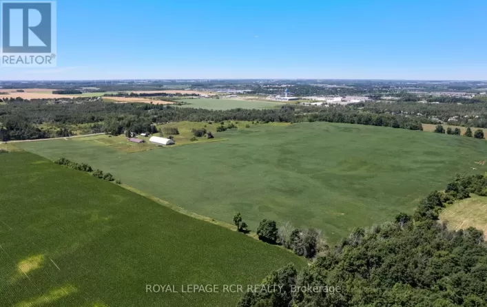 PTLT 29 2ND LINE, Amaranth