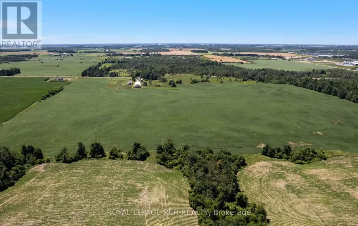 PTLT 29 2ND LINE, Amaranth