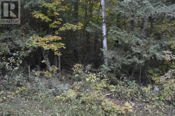 PTLT 61 OLD HASTINGS ROAD, Wollaston