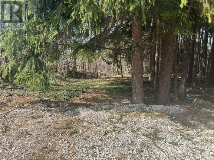 PTLT9-10 MCNAUGHTON STREET, South Bruce Peninsula