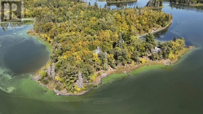 PTS 1,5,6 DORION ISLAND LAKE OF THE WOODS, UNORGANIZED