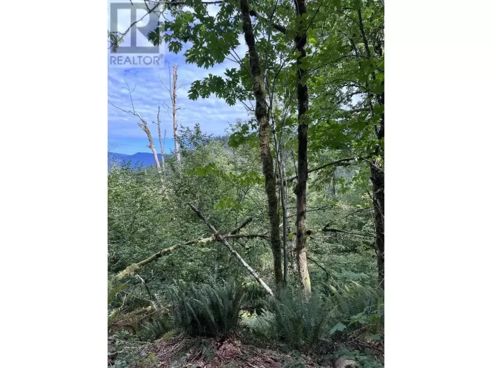 QUARRY ROAD, Coquitlam