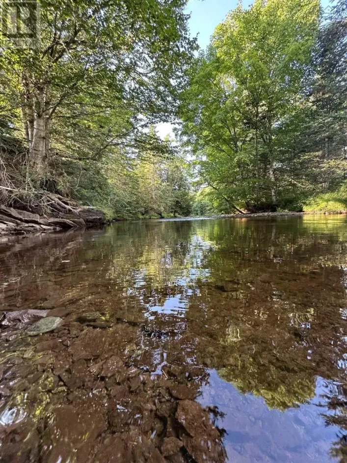 Ripley Road, Williamsdale