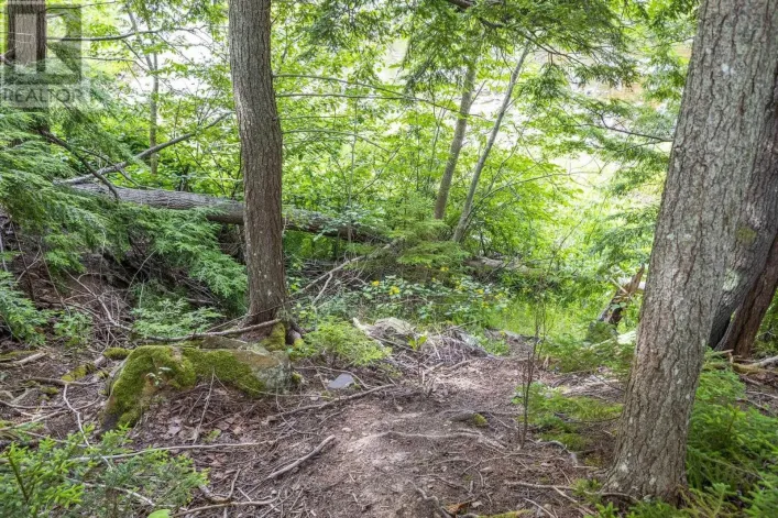 River Road, Plymouth