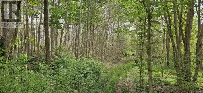 Riverside Road, New Edinburgh