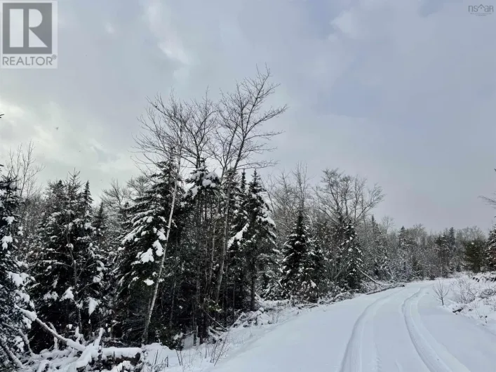 Rosette Road, Albany New