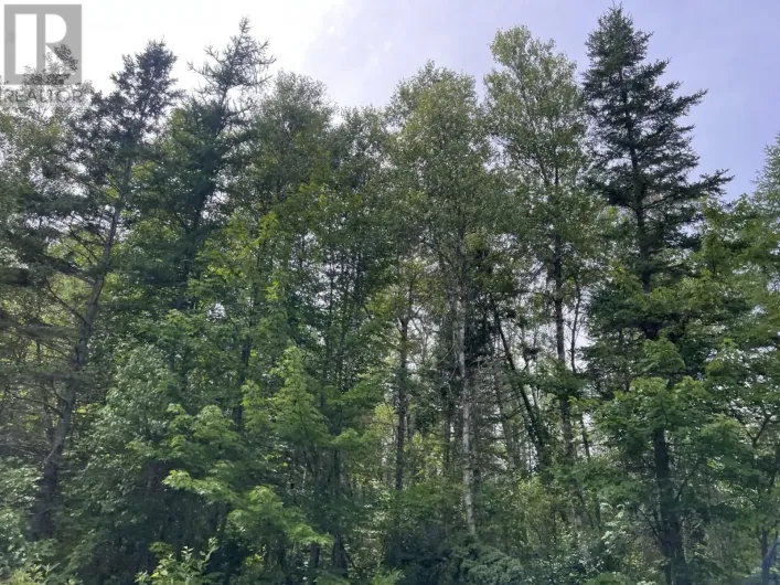 Rte 12 Tyne Valley, Tyne Valley