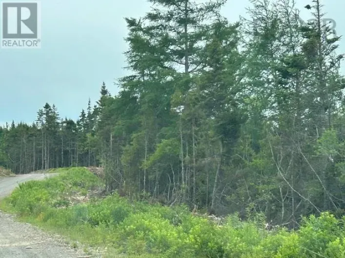 Salmon River Road, West L'ardoise