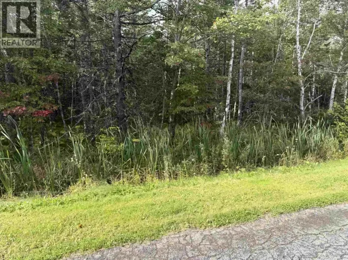 schaller Drive, Sydney Forks