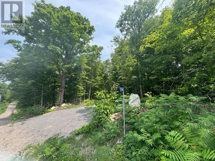SEVERED B - 554 PIGDEN ROAD, Madoc