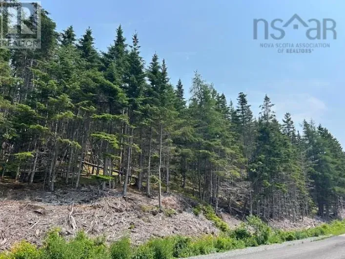 Soldiers Cove Road, Lewis Cove Road