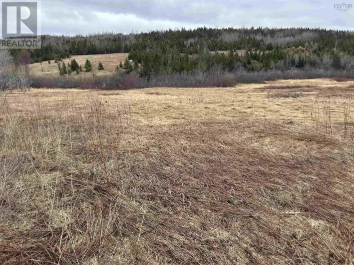 South River Road, Antigonish