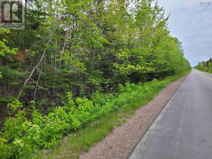 Tattrie Settlement Road, French River