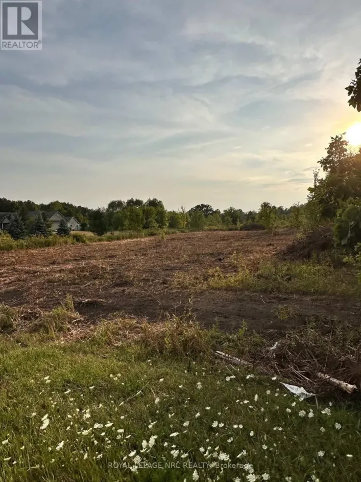 TBD MONTROSE ROAD, Niagara Falls