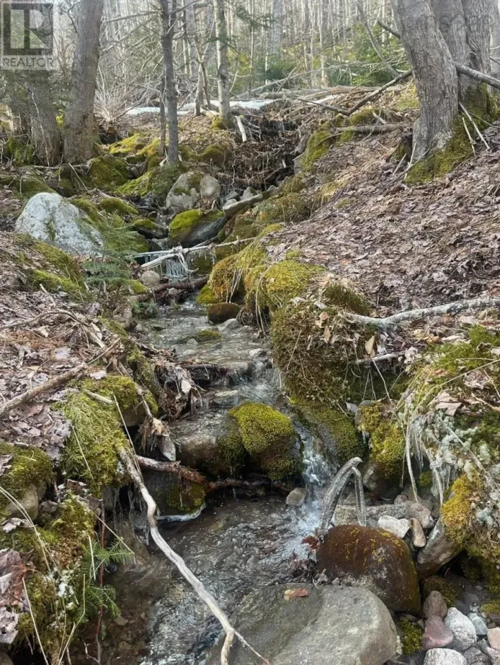 TransCanada 105, Bucklaw