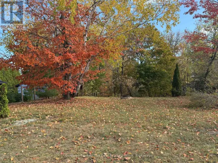 VACANT LOT JOHN STREET N, Gravenhurst)