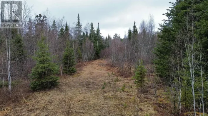 V/L 204 Highway, Birchwood