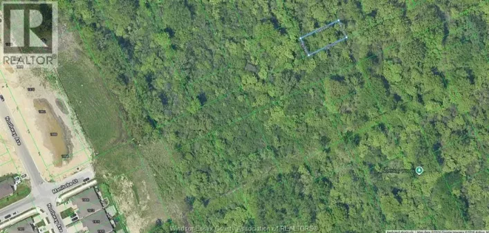 V/L CALIFORNIA AVENUE, Windsor