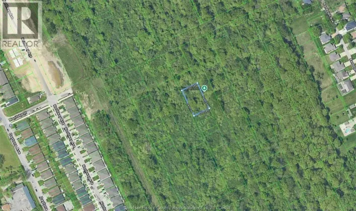 V/L CALIFORNIA, Windsor