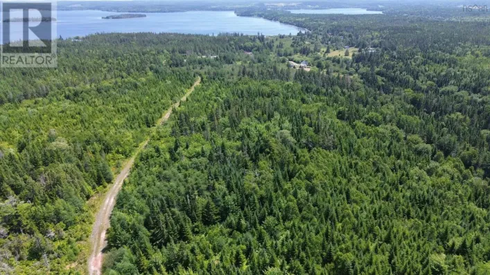 West Side Loch Lomond Road, Loch Lomond West