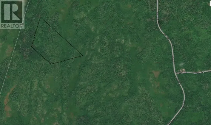 Wilsons Road, Ingomar