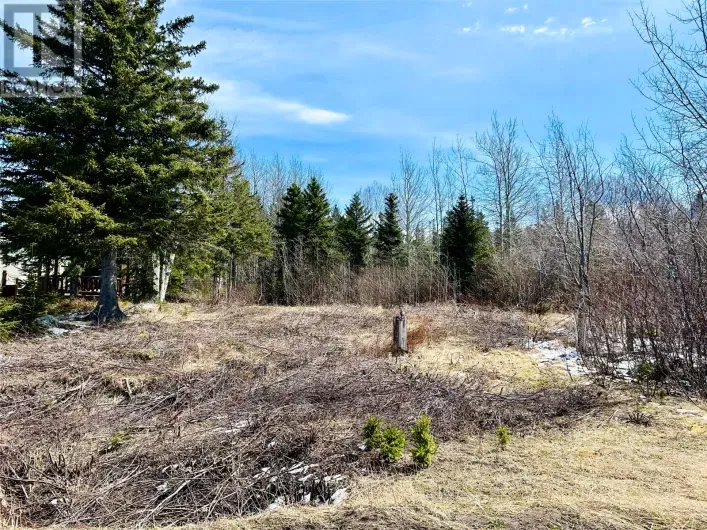 56 Pleasantview Road, Point Leamington