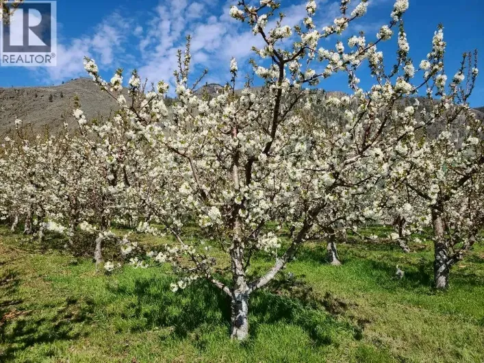 Other for sale: 2626 MIDDLE BENCH Road, Keremeos