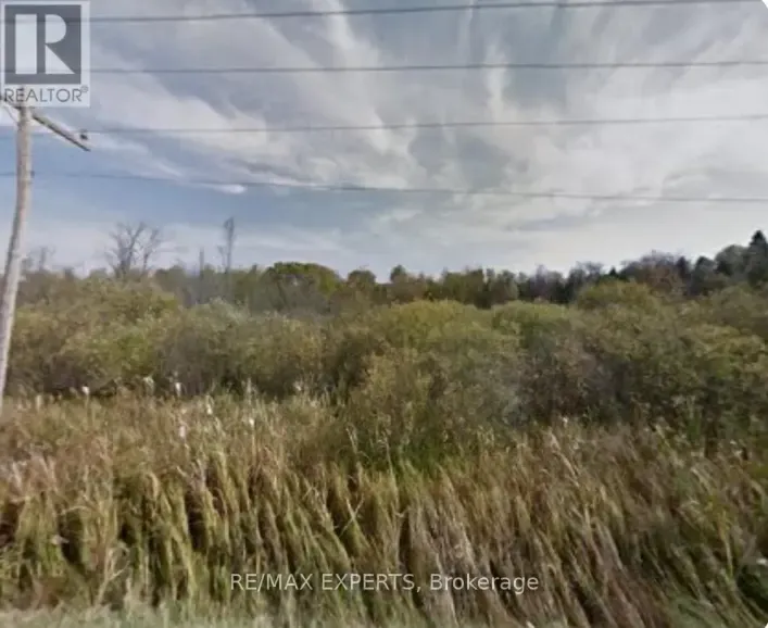 21620 YORK DURHAM LINE, East Gwillimbury