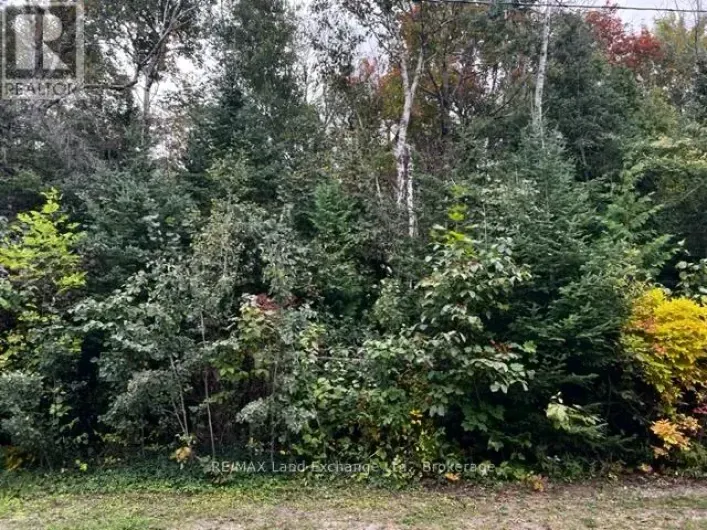 3 SHORE ROAD, Saugeen Shores