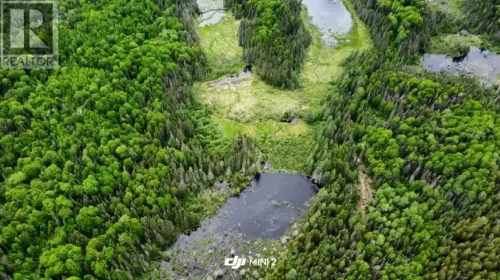 . South of East Line RD, Thessalon