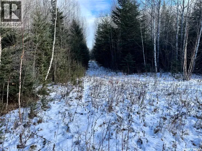 House for sale: Peifer N. Cabin Lease, Hudson Bay Rm No. 394