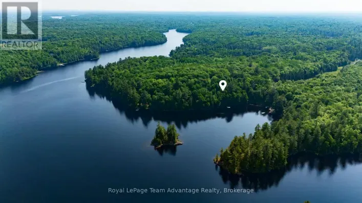 438 SHAWANAGA LAKE, Whitestone