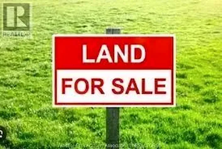 2 Kings Road, Monetville