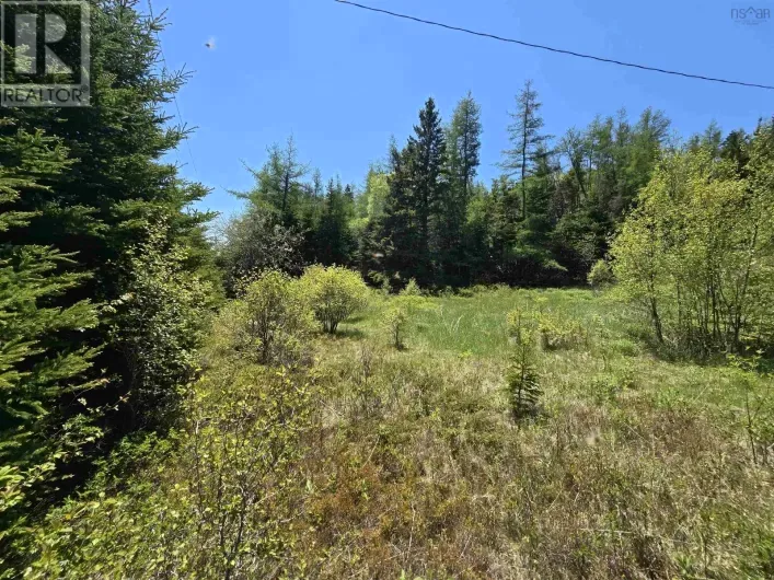 17987 316 Highway, Country Harbour