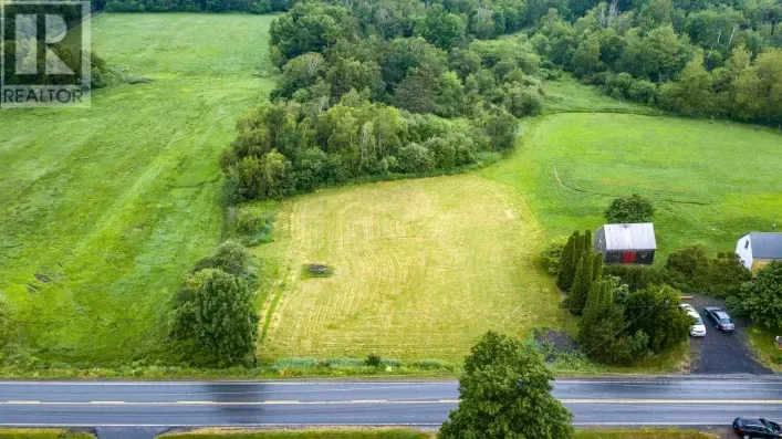 No Highway 215, Noel Shore