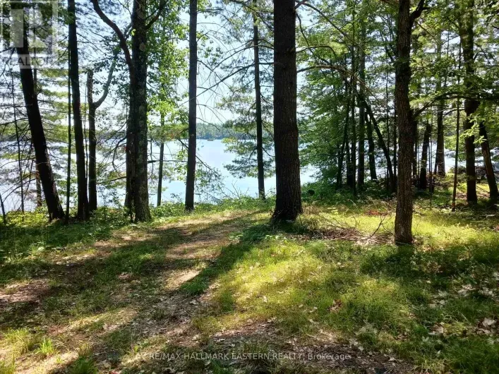 15 FIRE ROUTE 92A KASSHABOG LAKE, Havelock-Belmont-Methuen